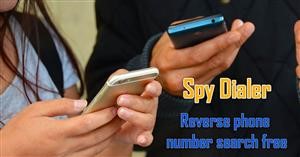 Spy Mouse Game Free